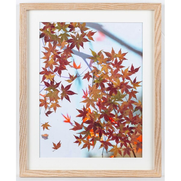 紅葉の舞