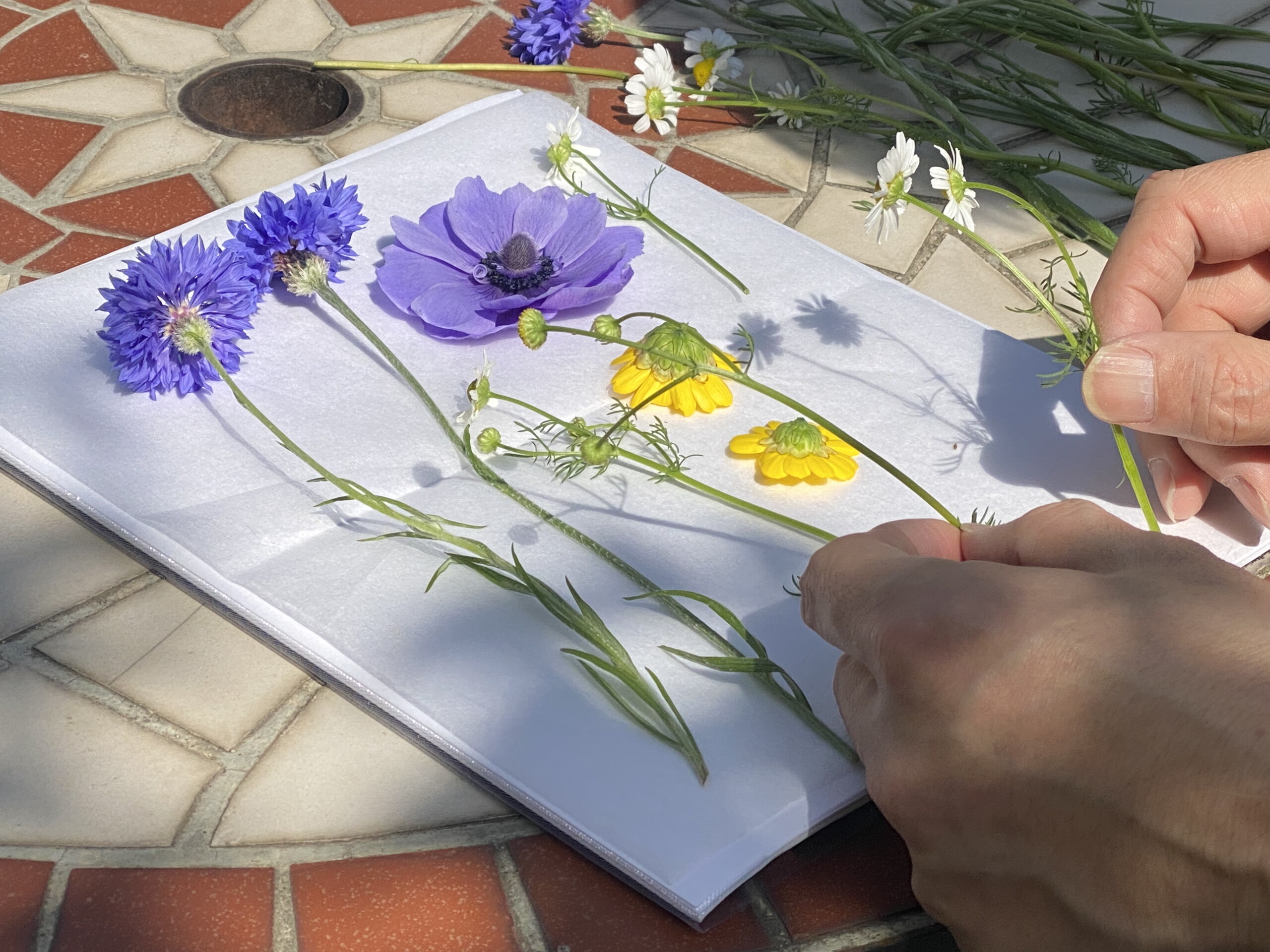 押し花のアート作品　和紙 月と桜 (押し花アート) その他アート スマイル 通販 114596