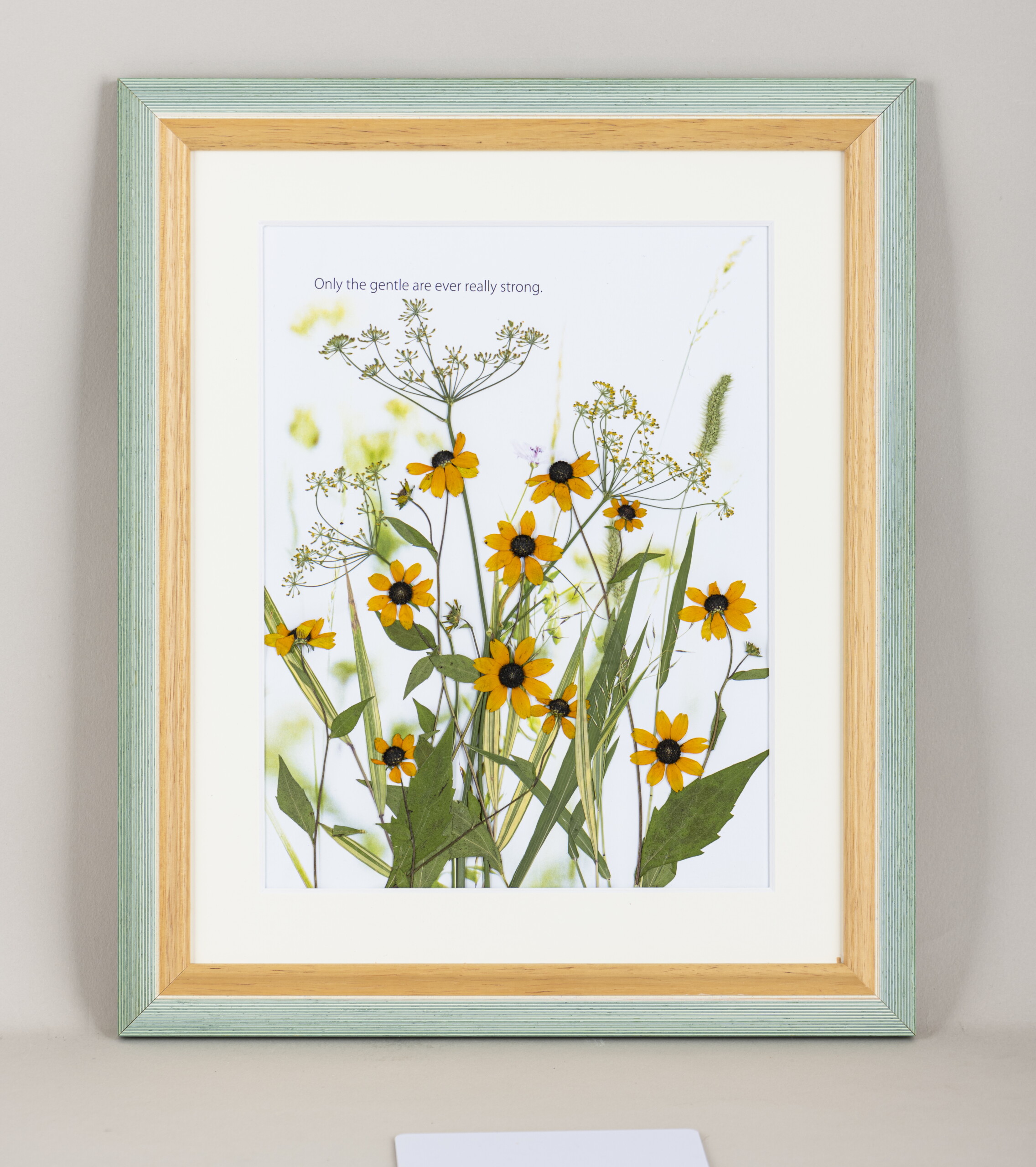 プロ直伝！押し花を美しく仕上げるテクニック – ハルメク花アート