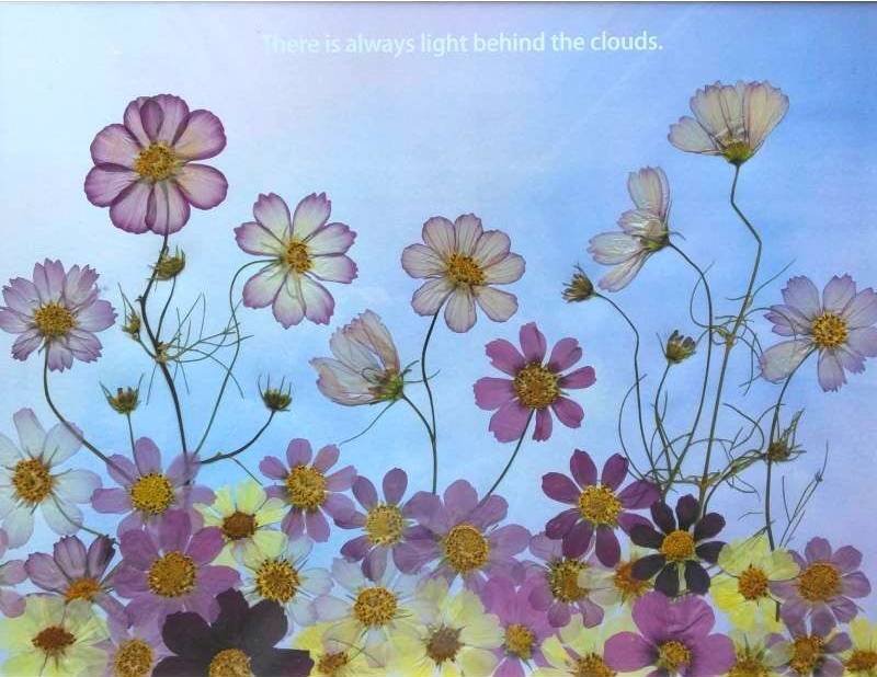 ハルメク押し花アート講座 2024秋 – ハルメク花アート｜押し花、レカン