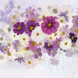 押し花絵　エレガント 001-9-300x300.jpg