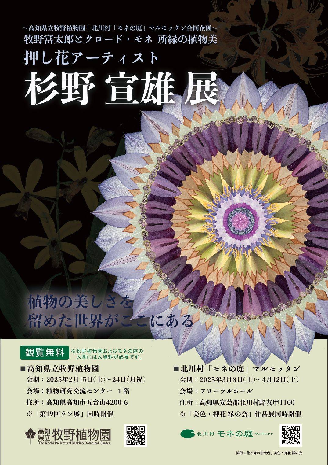 2月&3月・高知】牧野富太郎とクロード・モネ 所緑の植物美 押し花
