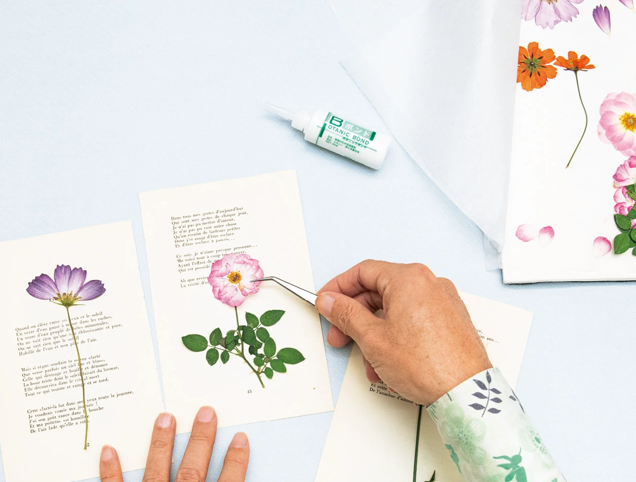 押し花の作り方】押し花作りはとてもシンプル。おおよそ3