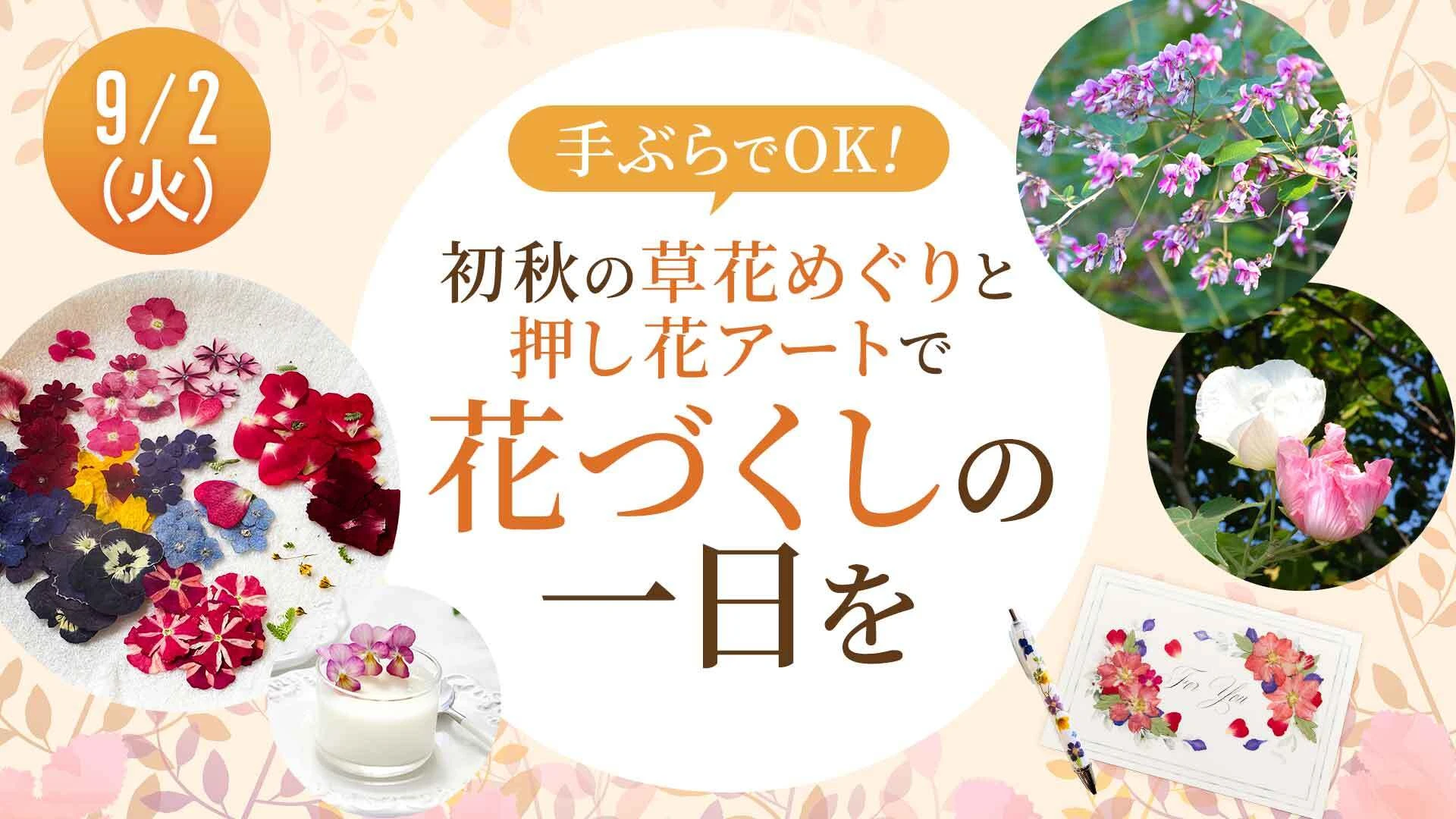 image-165.webp