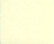 ライトイエロー